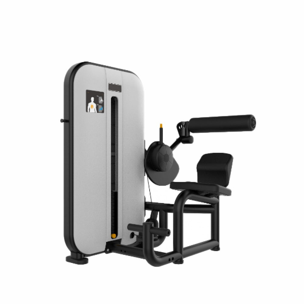 Appareil de fitness pour milieu et bas du dos Active Gym Classic Series