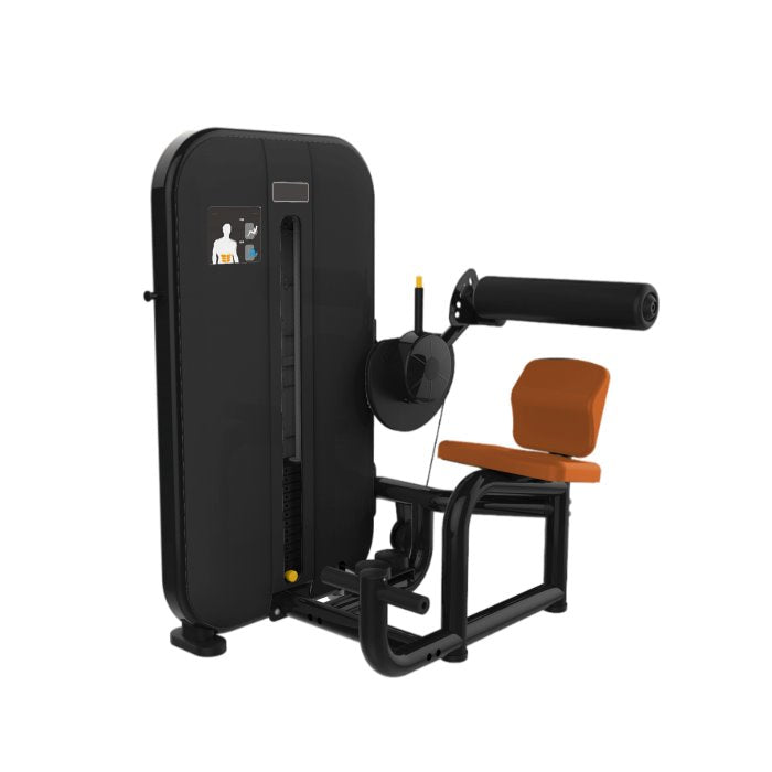 Appareil de musculation extension du dos Active Gym USA Classic Series