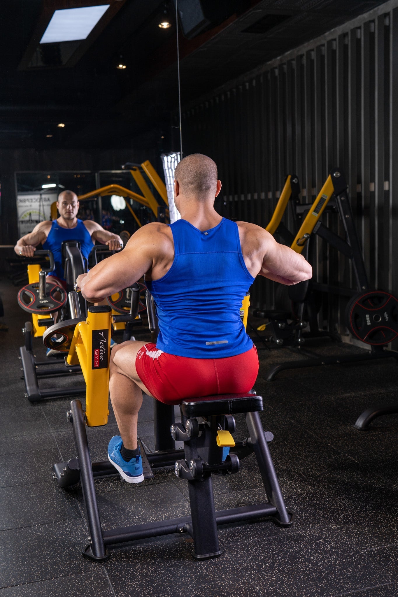 Appareil de musculation pour grand drosal (Row) Active Gym USA Gamma