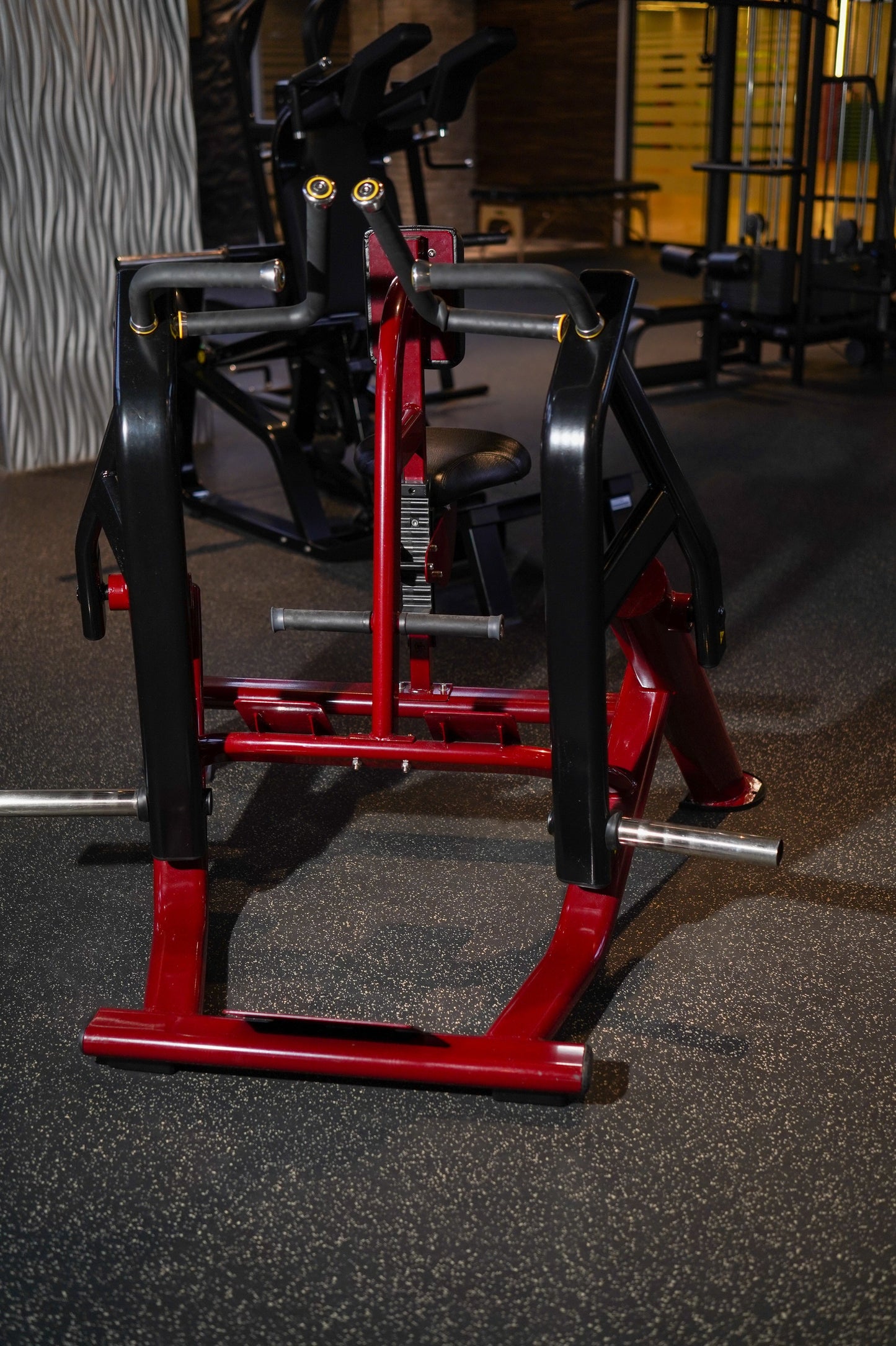 Appareil de musculation pour grand drosal (Row) Tech Pro