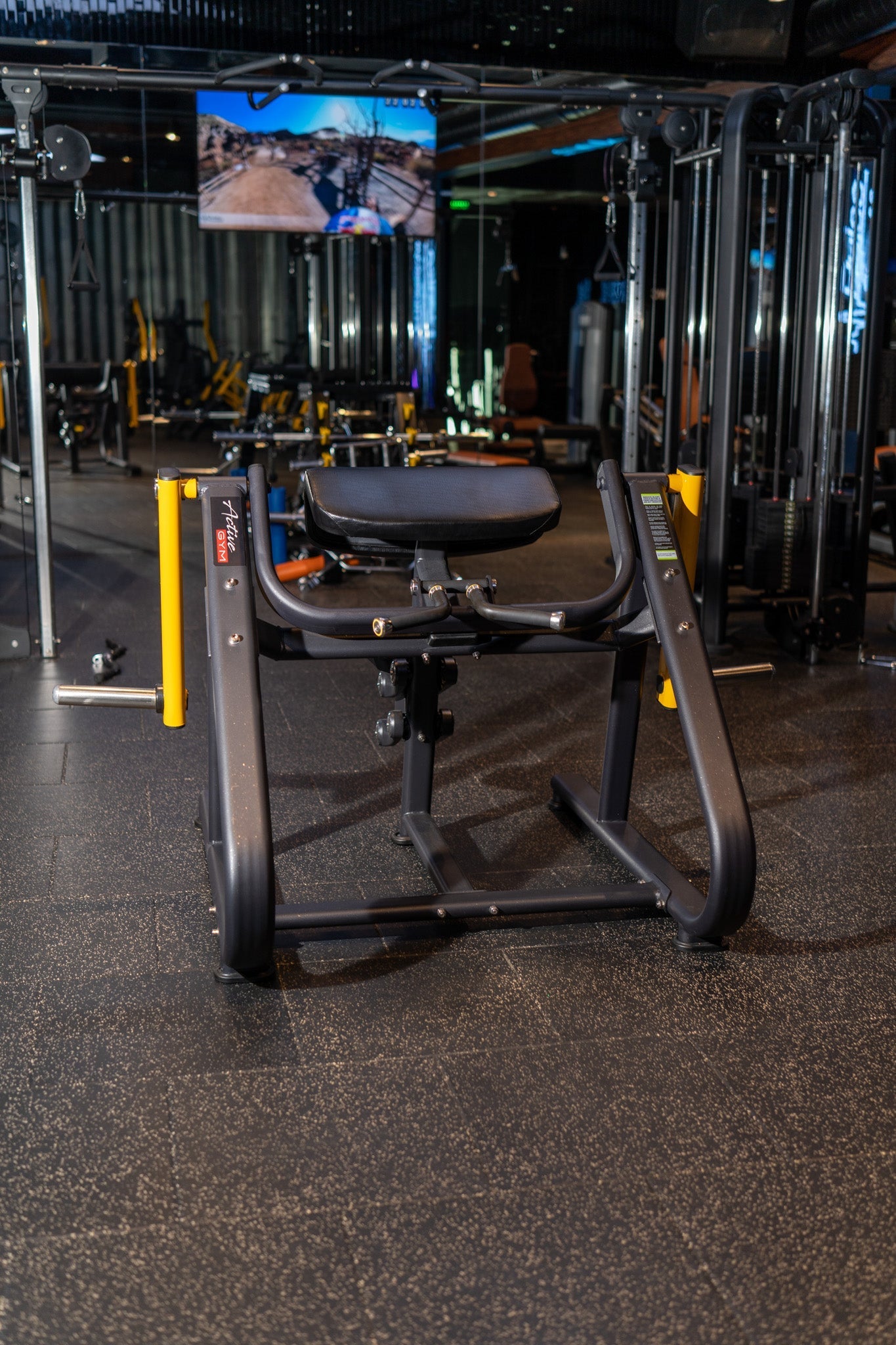 Appareil de musculation presse pour curls des biceps Active Gym USA Gamma