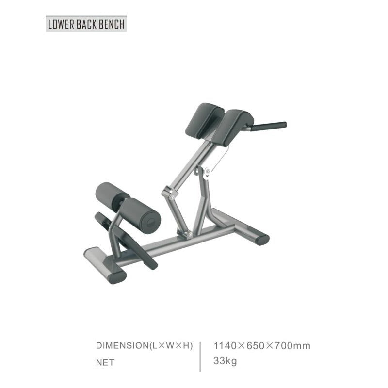 Appareil de fitness pour hyperextension abdominaux Active Gym Premium