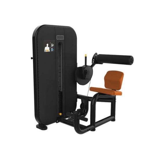 Appareil de fitness pour milieu et bas du dos Active Gym Classic Series