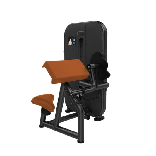 Appareil de musculation curls des biceps Scott Active Gym Classic