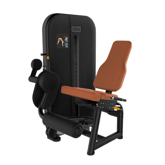 Appareil de musculation extension des jambes (cvadriceps) Active Gym USA Classic
