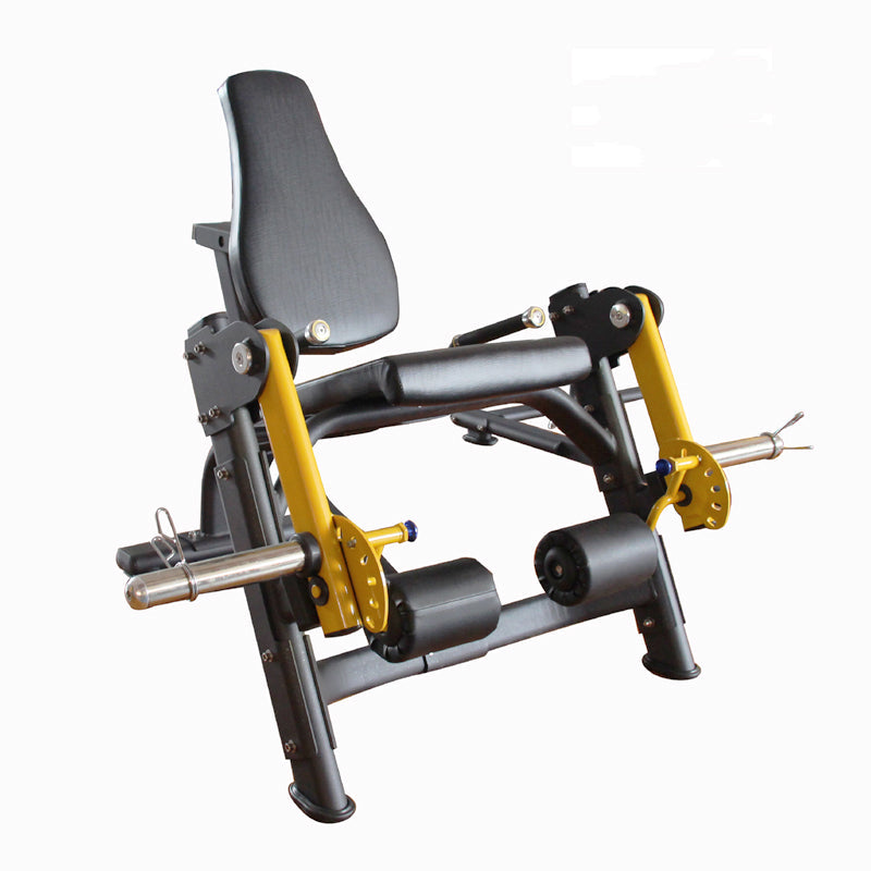 Appareil de musculation extension des jambes (cvadriceps) Active Gym USA Gamma