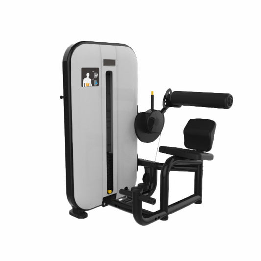 Appareil de musculation extension du dos Active Gym USA Classic Series