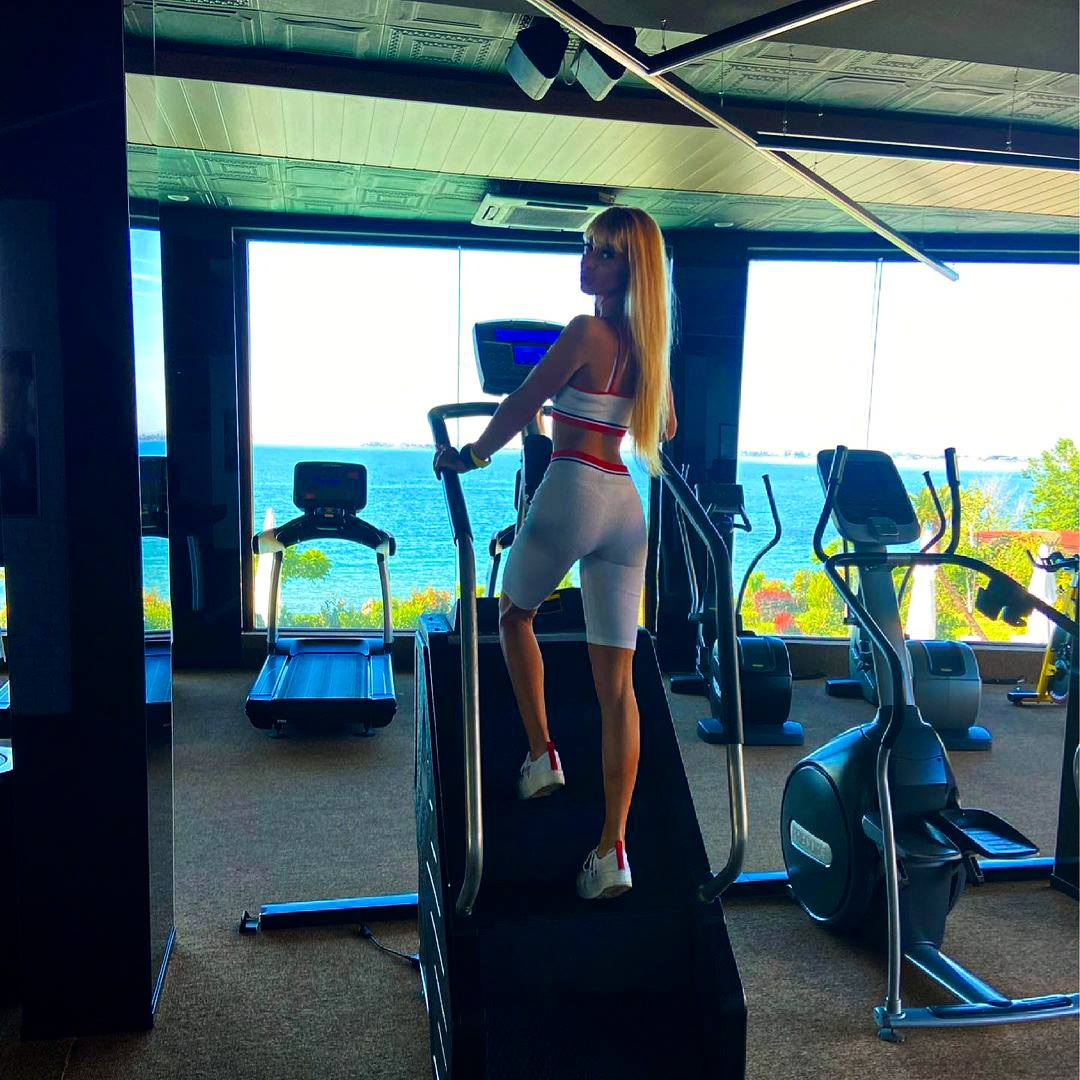 Simulateur d'escalier/ Stepmill Active Gym USA